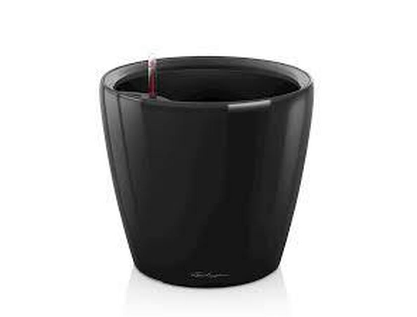 Black Gloss Pot