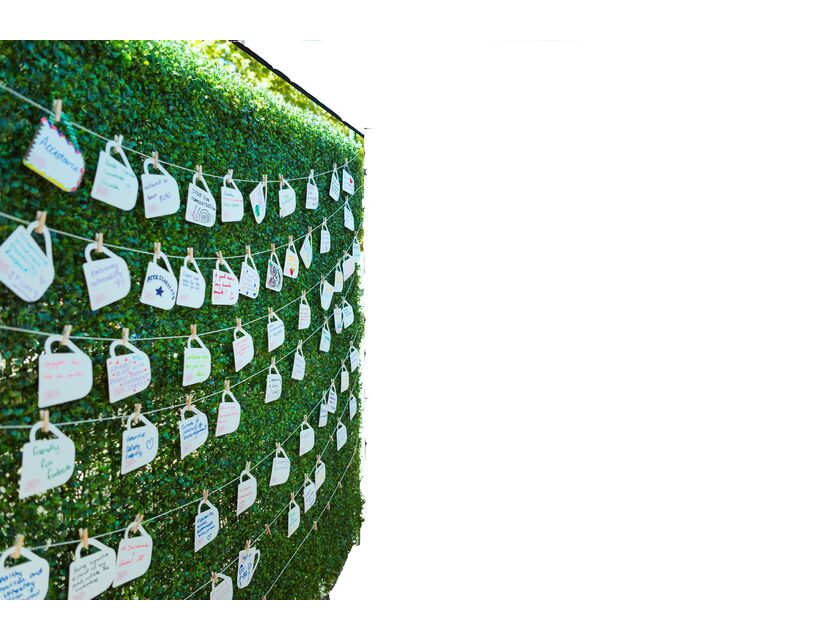 Hedge Wall -