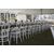 Bentwood Chair - White