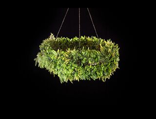 Hanging Hoop - Lush Greenery - 80cm