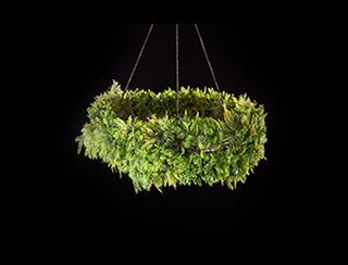 Hanging Hoop - Lush Greenery - 1m