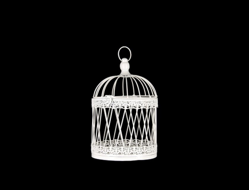 Bird Cage Set