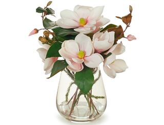 Magnolia Mix - 40 cm CP