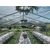 Clear Roof Pavilion - 10m x 33m