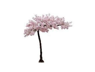 Large Cherry Blossom Tree