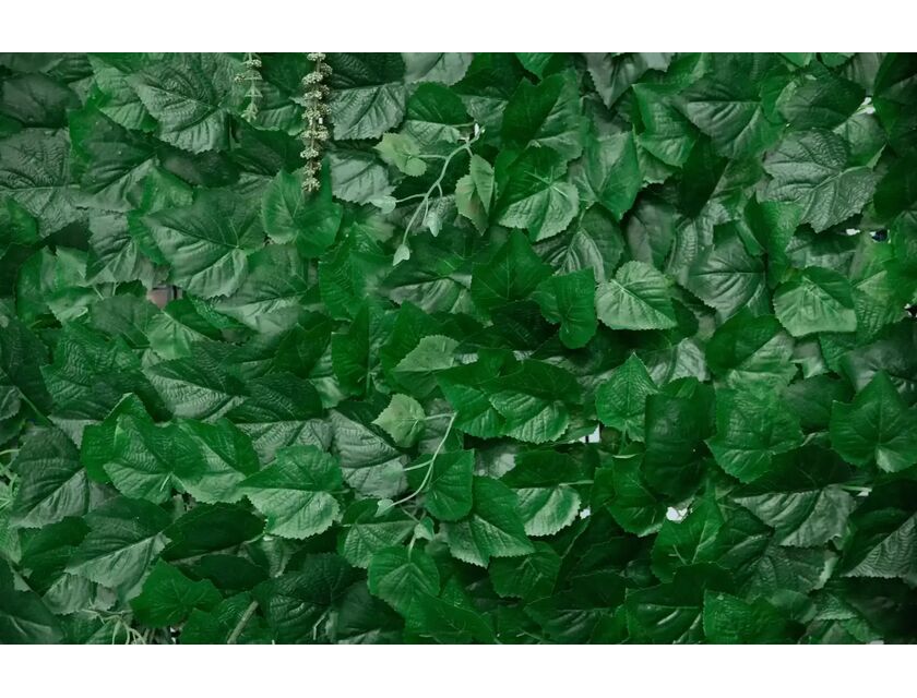 Scattered Ivy Wall