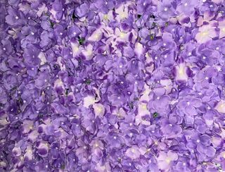 Purple Flower Wall