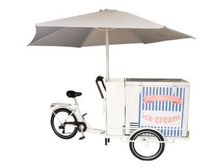 Tricycle with Storage
