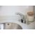 Luxury Portable Toilet