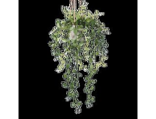 Fern Hanging Pot