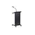 Lectern with Goose Neck Stand + Mic