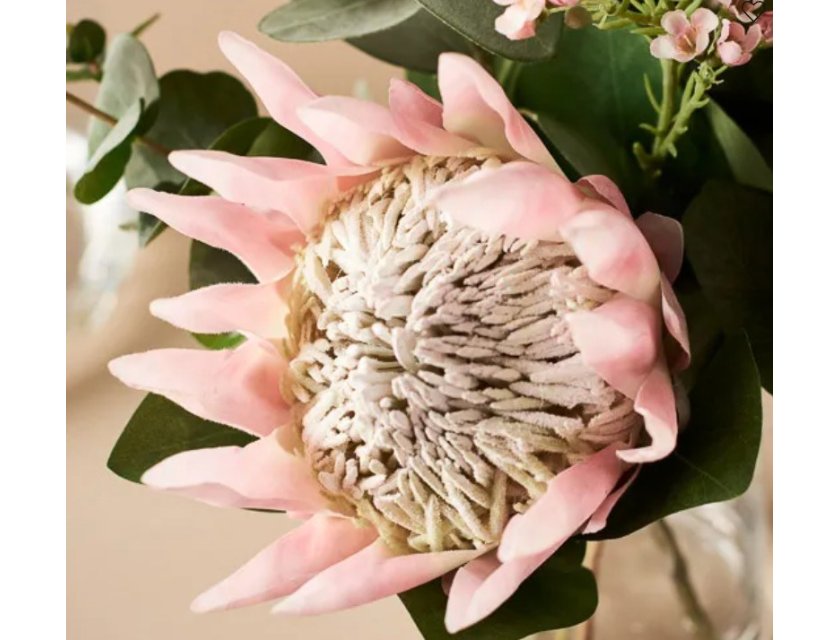 Protea King - Pink - 30cm