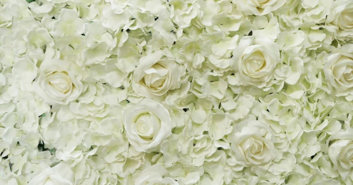 White Rose Flower Wall Olympic Party Hire